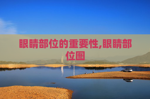 眼睛部位的重要性,眼睛部位图