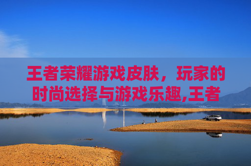 王者荣耀游戏皮肤，玩家的时尚选择与游戏乐趣,王者皮肤有什么用