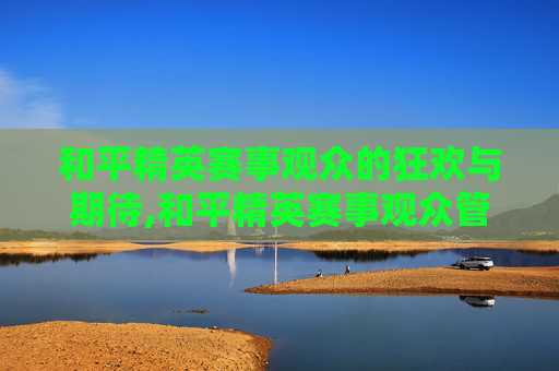和平精英赛事观众的狂欢与期待,和平精英赛事观众管理组的工作内容