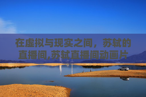 在虚拟与现实之间，苏轼的直播间,苏轼直播间动画片