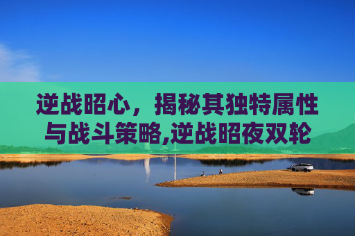 逆战昭心，揭秘其独特属性与战斗策略,逆战昭夜双轮使用教程图解大全最新