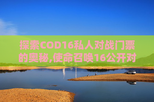 探索COD16私人对战门票的奥秘,使命召唤16公开对战是什么模式