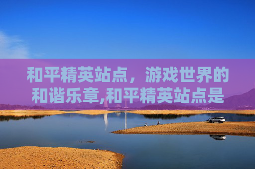 和平精英站点，游戏世界的和谐乐章,和平精英站点是什么意思