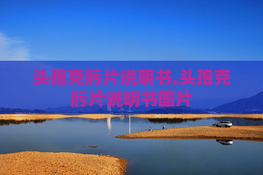 头孢克肟片说明书,头孢克肟片说明书图片