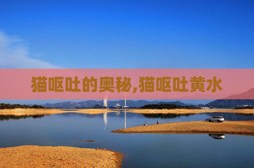 猫呕吐的奥秘,猫呕吐黄水