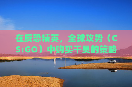 在反恐精英，全球攻势（CS:GO）中购买干员的策略与技巧,csgo怎么买人物角色