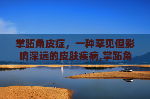 掌跖角皮症，一种罕见但影响深远的皮肤疾病,掌跖角皮症的图片