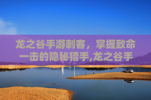 龙之谷手游刺客，掌握致命一击的隐秘猎手,龙之谷手游刺客烈