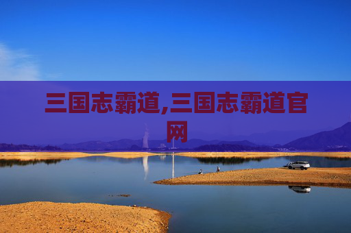三国志霸道,三国志霸道官网