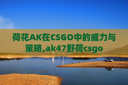 荷花AK在CSGO中的威力与策略,ak47野荷csgo