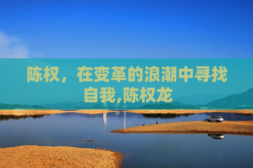 陈权，在变革的浪潮中寻找自我,陈权龙