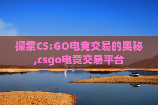 探索CS:GO电竞交易的奥秘,csgo电竞交易平台