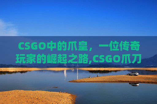 CSGO中的爪皇，一位传奇玩家的崛起之路,CSGO爪刀价格表