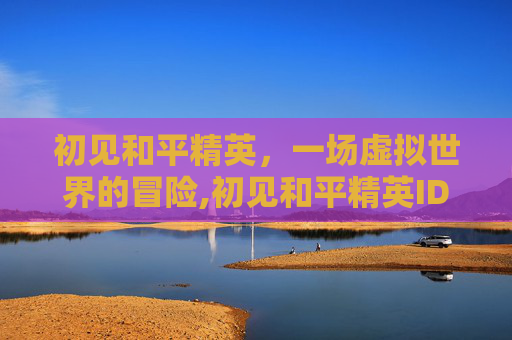 初见和平精英，一场虚拟世界的冒险,初见和平精英ID