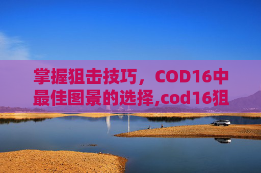 掌握狙击技巧，COD16中最佳图景的选择,cod16狙击枪推荐