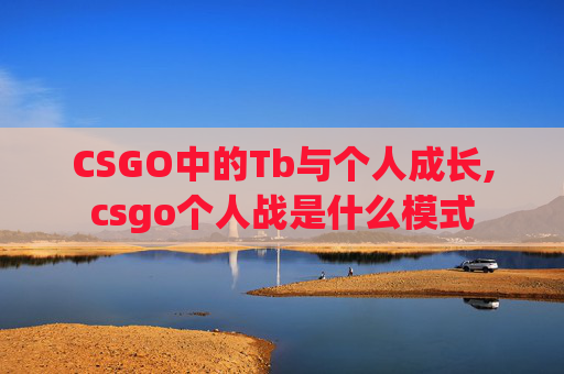 CSGO中的Tb与个人成长,csgo个人战是什么模式