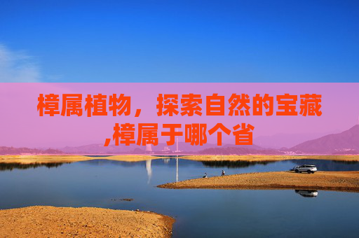樟属植物，探索自然的宝藏,樟属于哪个省