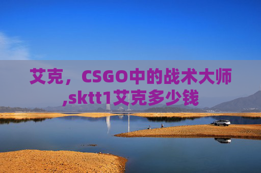 艾克，CSGO中的战术大师,sktt1艾克多少钱