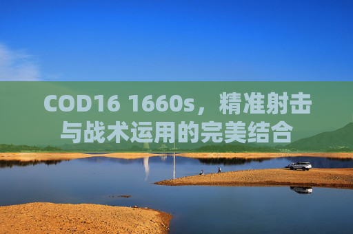 COD16 1660s，精准射击与战术运用的完美结合