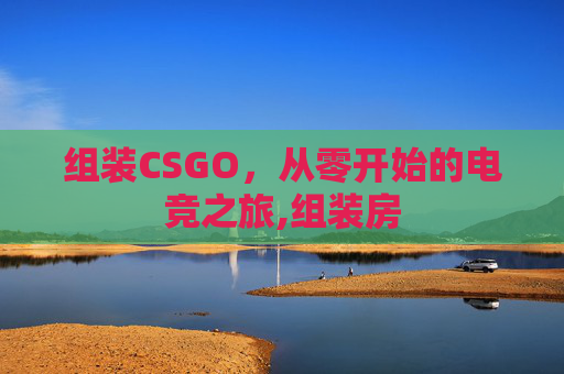 组装CSGO，从零开始的电竞之旅,组装房