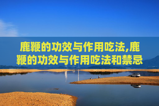 鹿鞭的功效与作用吃法,鹿鞭的功效与作用吃法和禁忌