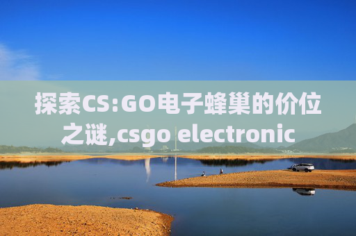 探索CS:GO电子蜂巢的价位之谜,csgo electronic