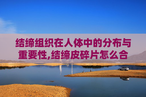结缔组织在人体中的分布与重要性,结缔皮碎片怎么合成啊