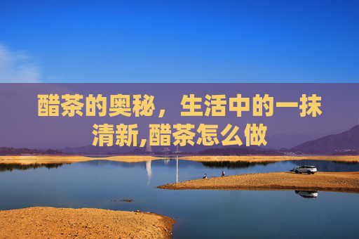 醋茶的奥秘，生活中的一抹清新,醋茶怎么做