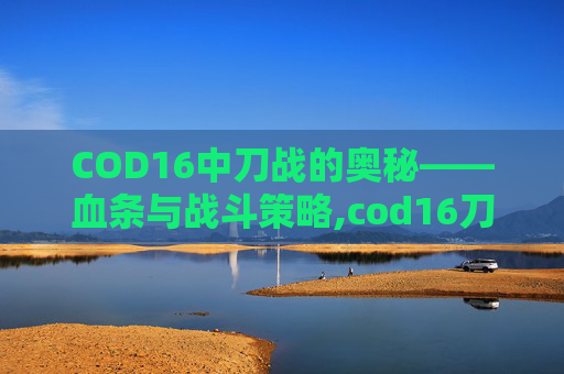 COD16中刀战的奥秘——血条与战斗策略,cod16刀怎么装备