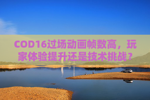 COD16过场动画帧数高，玩家体验提升还是技术挑战？,使命召唤16过场动画黑屏