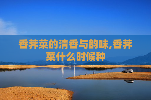 香荠菜的清香与韵味,香荠菜什么时候种