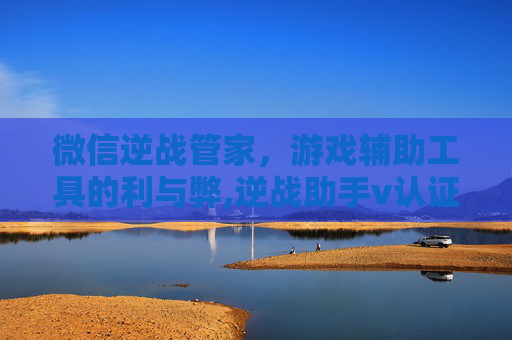 微信逆战管家，游戏辅助工具的利与弊,逆战助手v认证