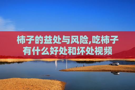 柿子的益处与风险,吃柿子有什么好处和坏处视频