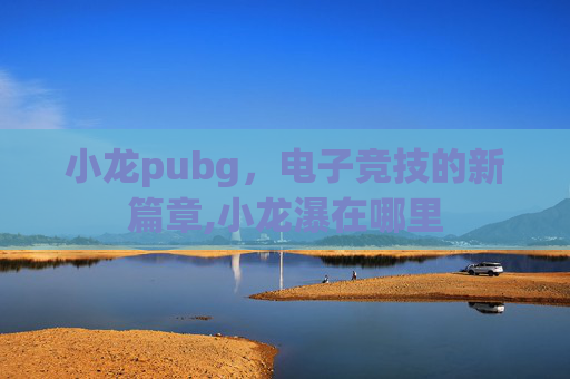 小龙pubg，电子竞技的新篇章,小龙瀑在哪里