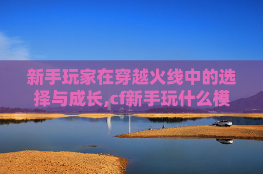 新手玩家在穿越火线中的选择与成长,cf新手玩什么模式