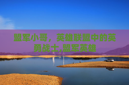 盟军小哥，英雄联盟中的英勇战士,盟军英雄