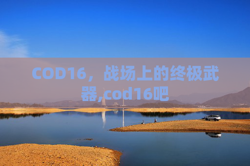 COD16，战场上的终极武器,cod16吧