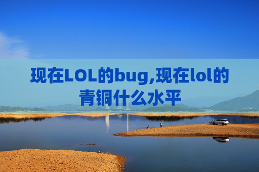现在LOL的bug,现在lol的青铜什么水平