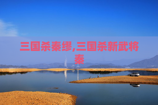 三国杀秦缪,三国杀新武将秦
