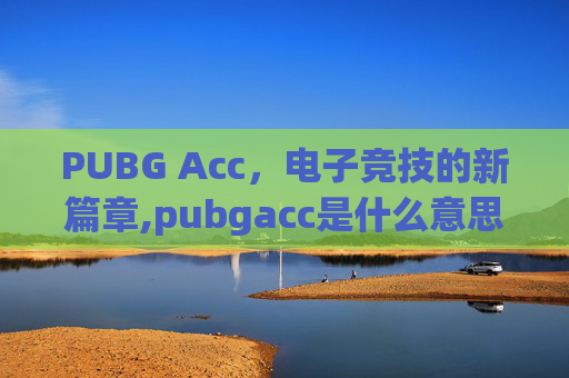 PUBG Acc，电子竞技的新篇章,pubgacc是什么意思