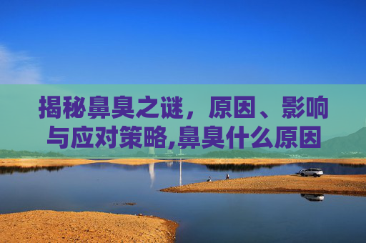 揭秘鼻臭之谜，原因、影响与应对策略,鼻臭什么原因