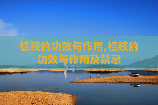 桂枝的功效与作用,桂枝的功效与作用及禁忌