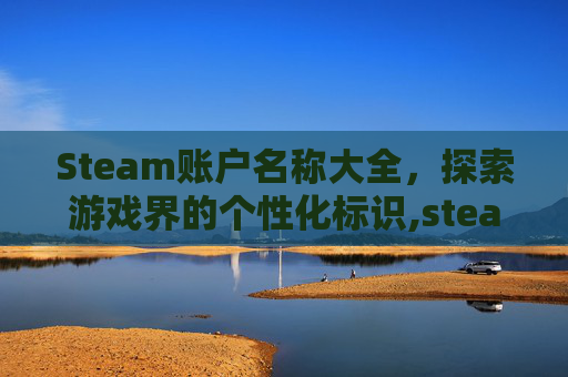 Steam账户名称大全，探索游戏界的个性化标识,steam的账户名称大全