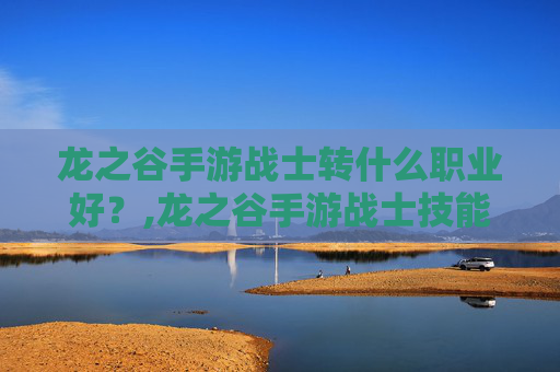 龙之谷手游战士转什么职业好？,龙之谷手游战士技能加点图