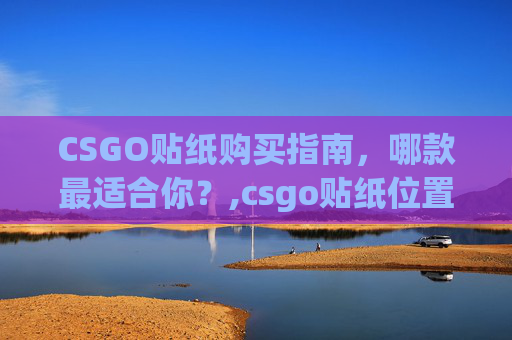 CSGO贴纸购买指南，哪款最适合你？,csgo贴纸位置科普