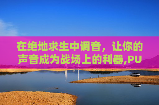 在绝地求生中调音，让你的声音成为战场上的利器,PUBG游戏声卡