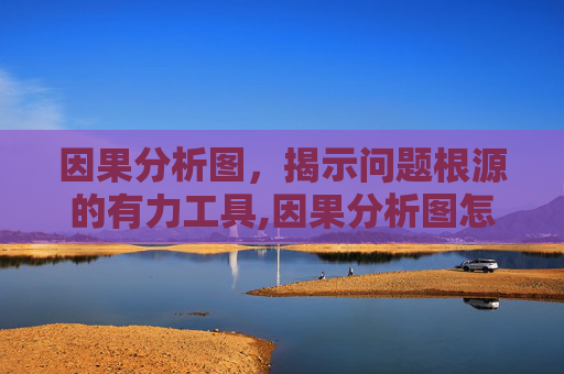 因果分析图，揭示问题根源的有力工具,因果分析图怎么画