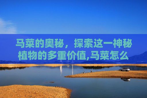 马菜的奥秘，探索这一神秘植物的多重价值,马菜怎么做好吃