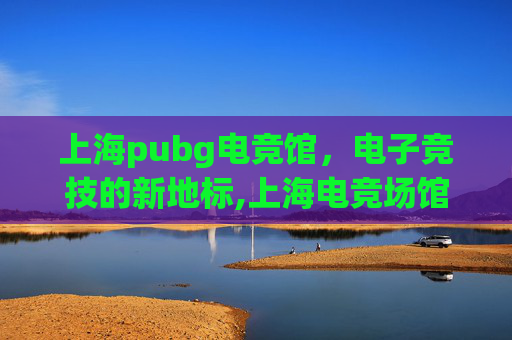 上海pubg电竞馆，电子竞技的新地标,上海电竞场馆