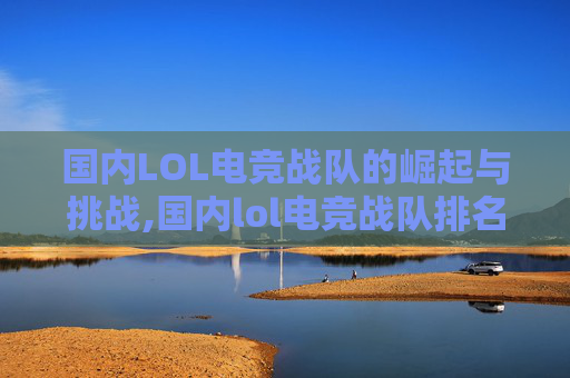 国内LOL电竞战队的崛起与挑战,国内lol电竞战队排名
